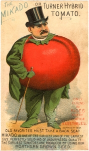 03-1057-Tomato-Man
